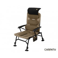 delphin_ergonia